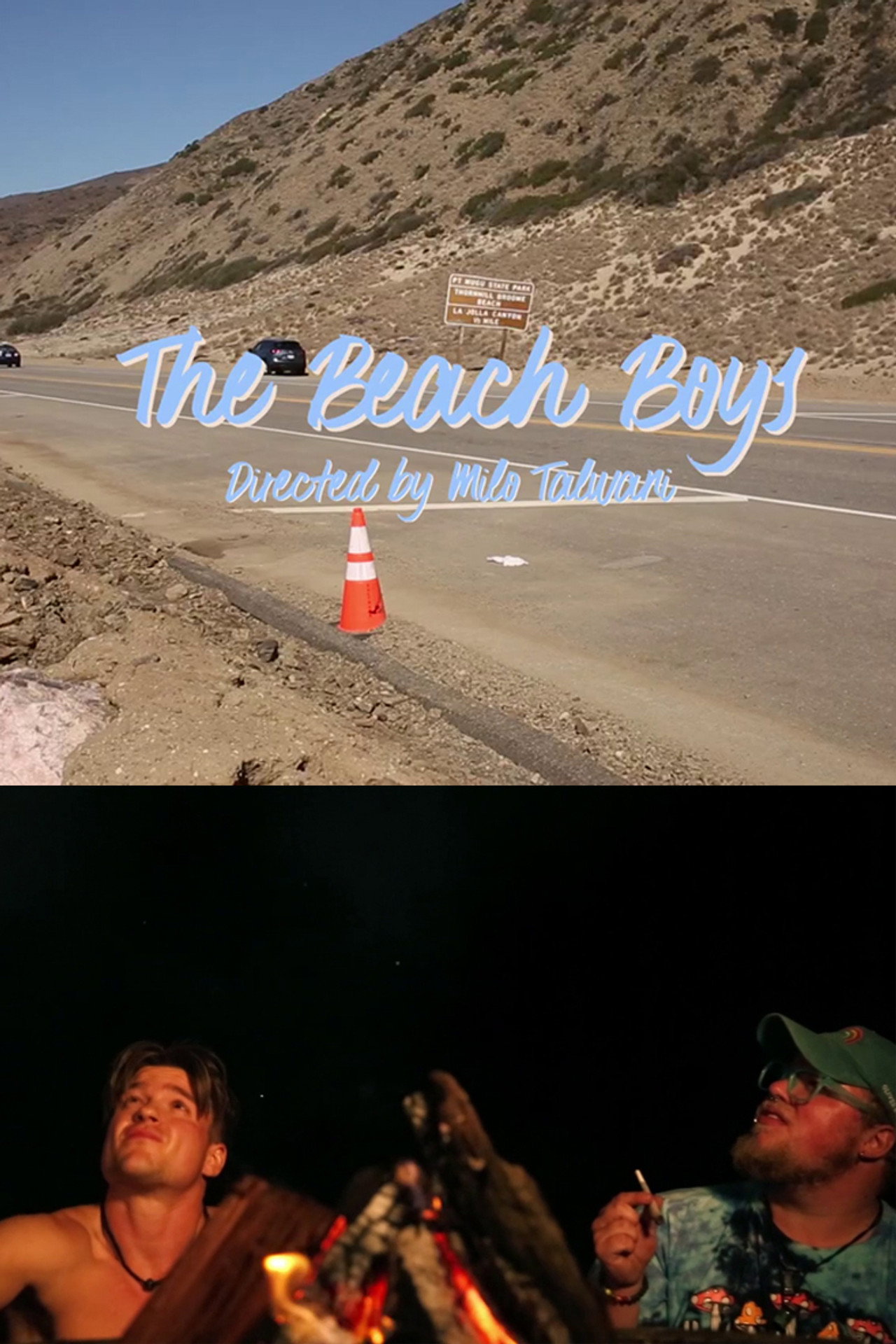 The Beach Boys Backdrop