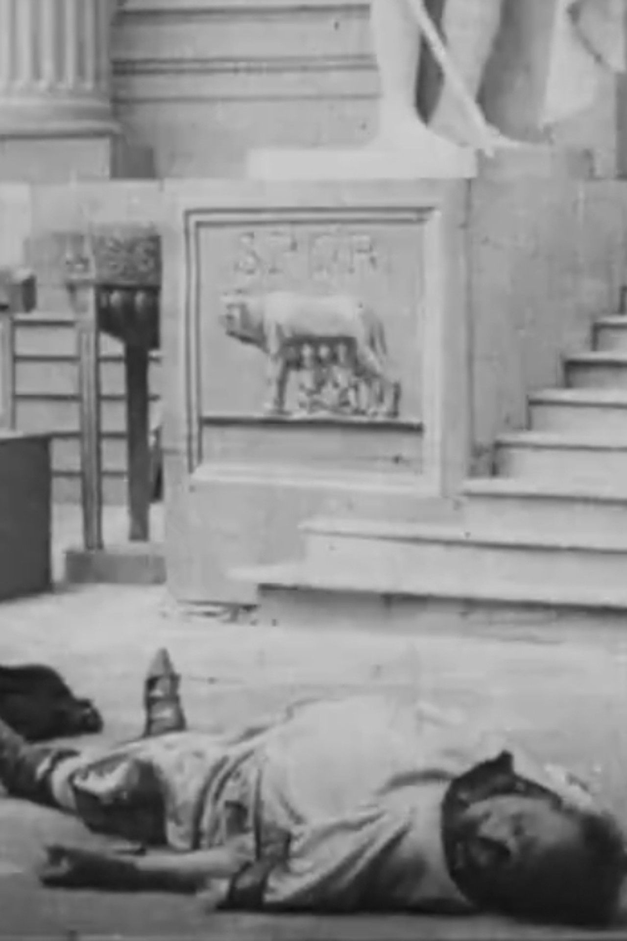 Julius Caesar Backdrop