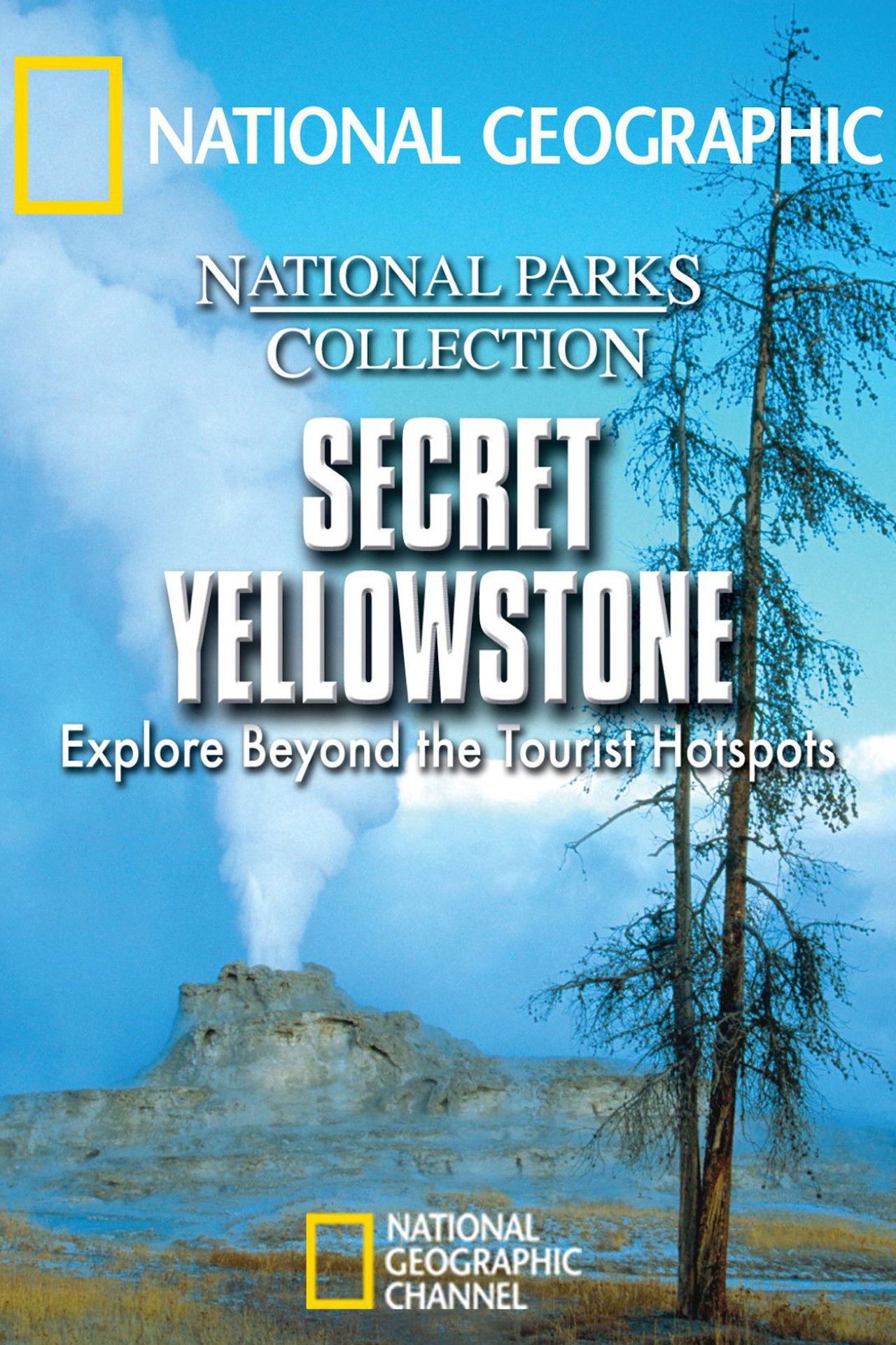 Secret Yellowstone Backdrop