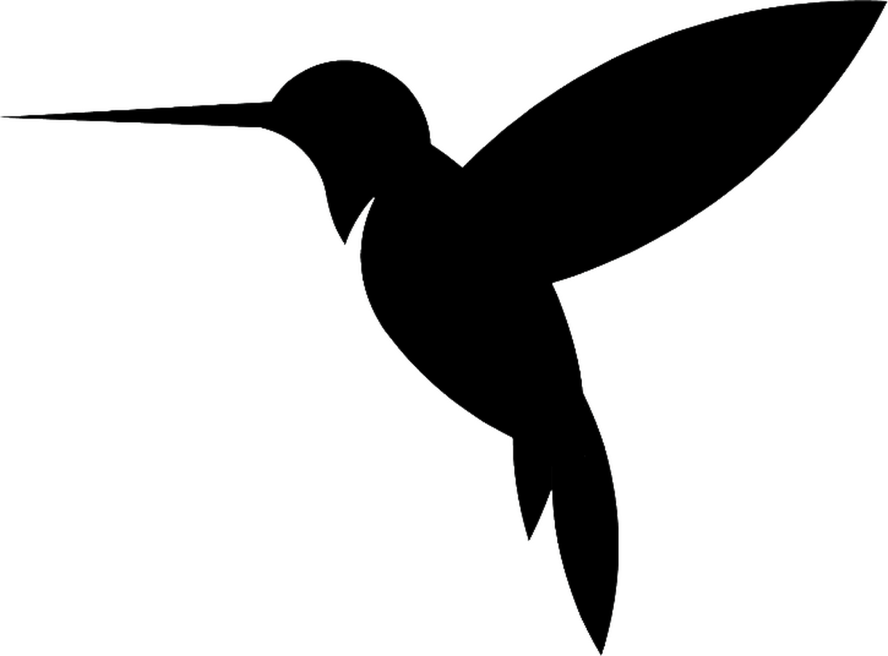 Colibrì12