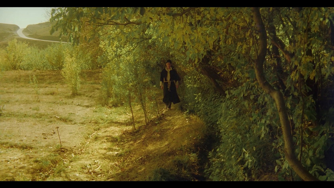 The Pear Tree backdrop