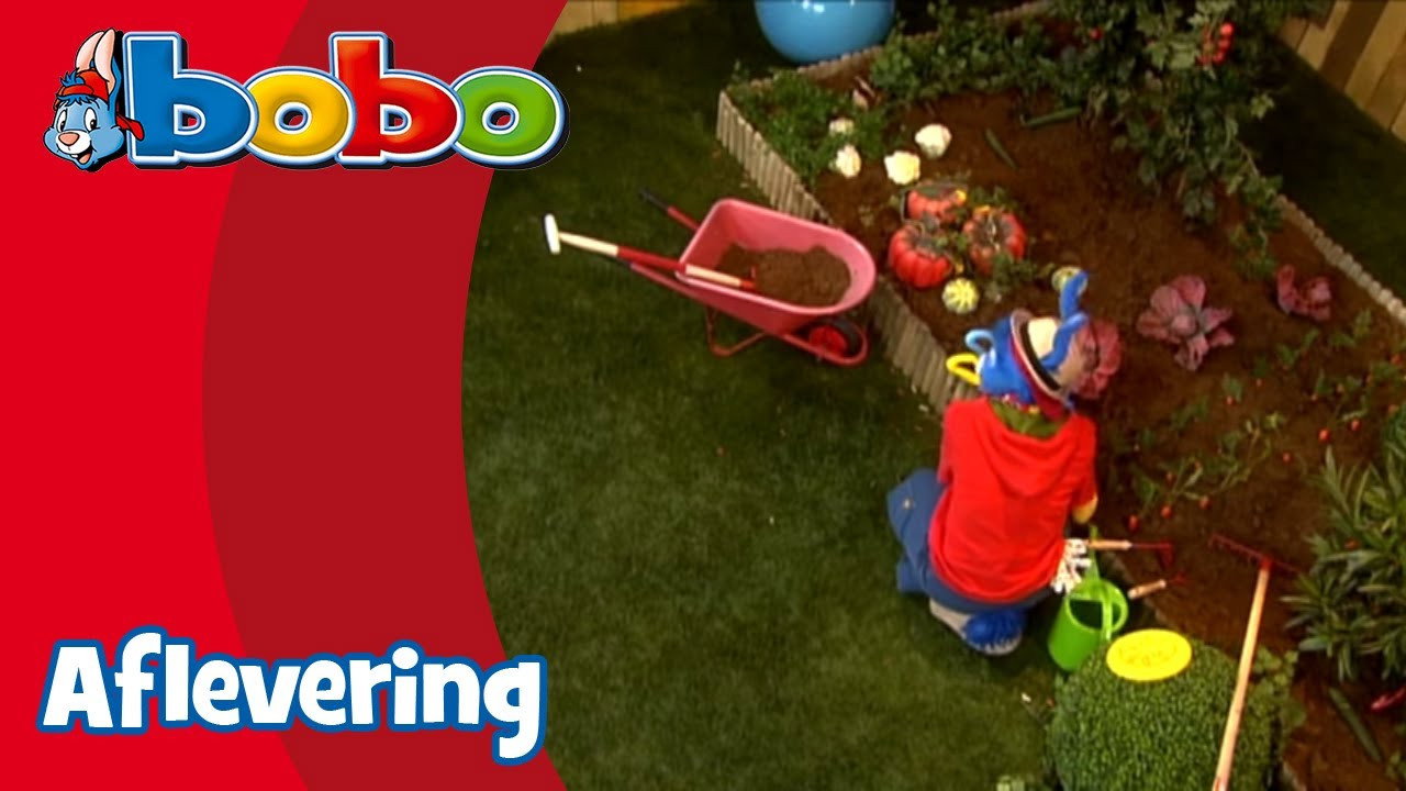 Bobo - het beste