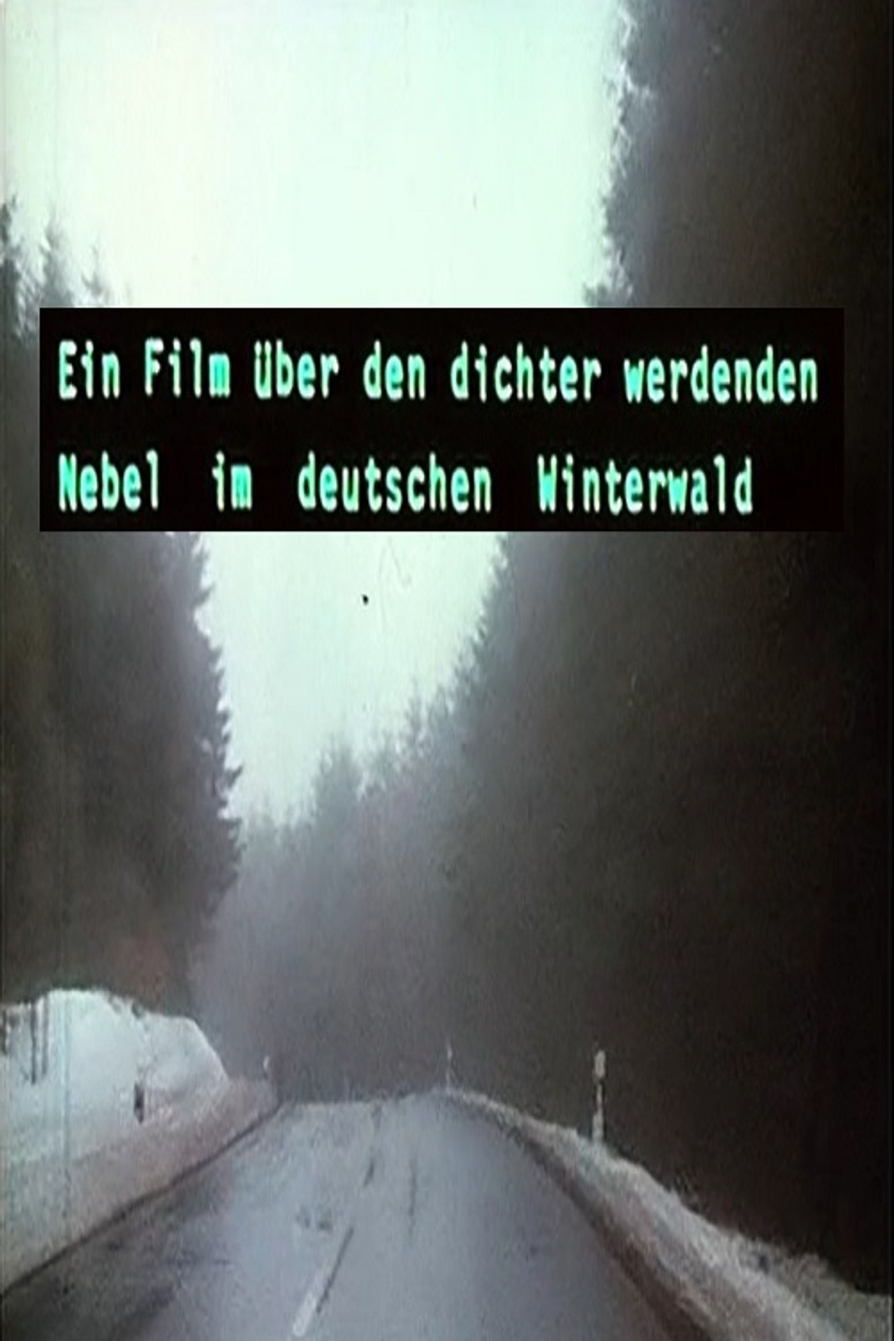 Ein Film über den dichter werdenden Nebel im deutschen Winterwald Backdrop