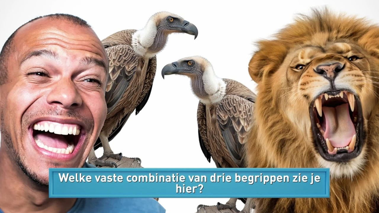 Ik Weet Er Alles Van! — Épisode 14