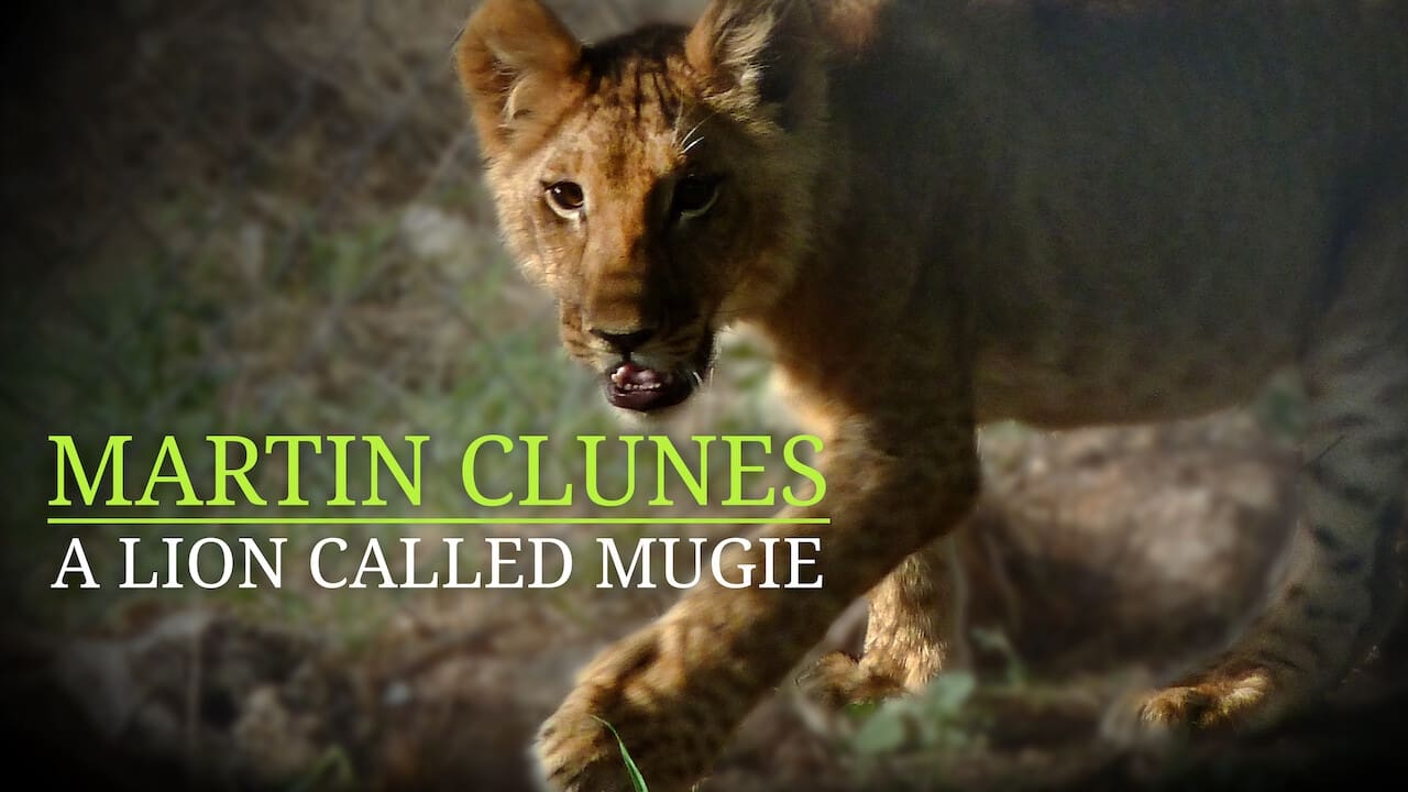 Scen från Martin Clunes & a Lion Called Mugie