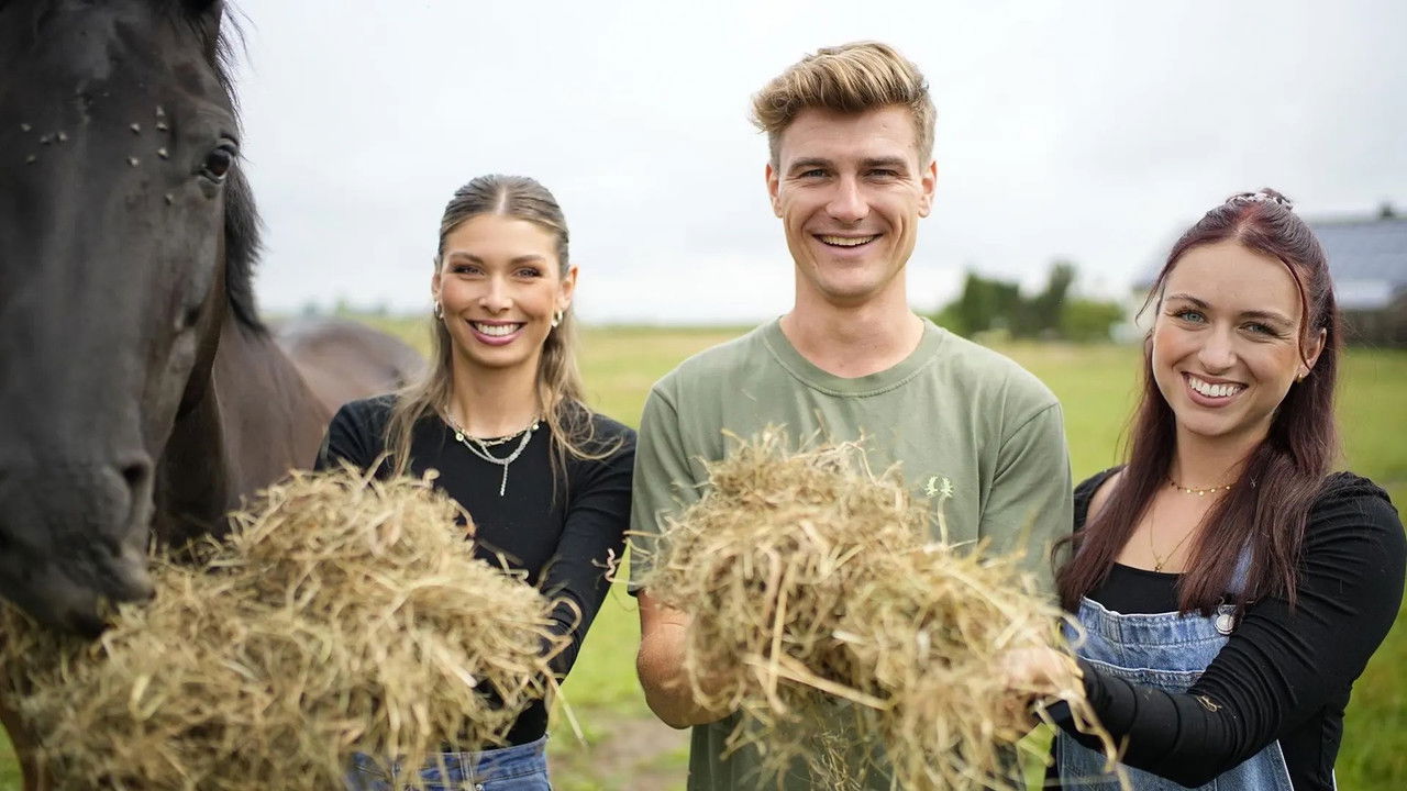 Bauer sucht Frau - Season 21 Episode 6 : Episode 6