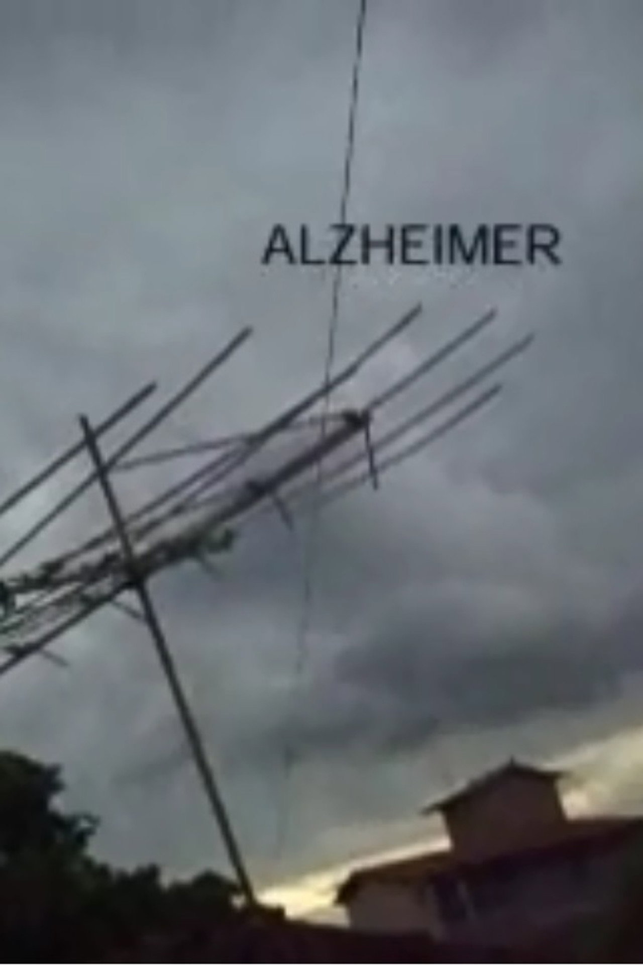 Alzheimer filmaffisch