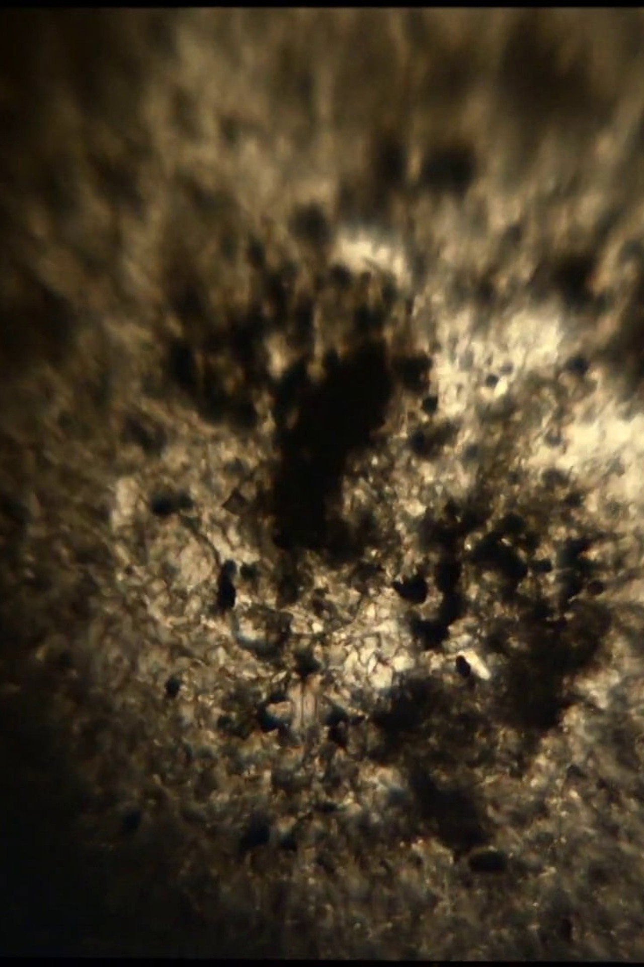 Granular