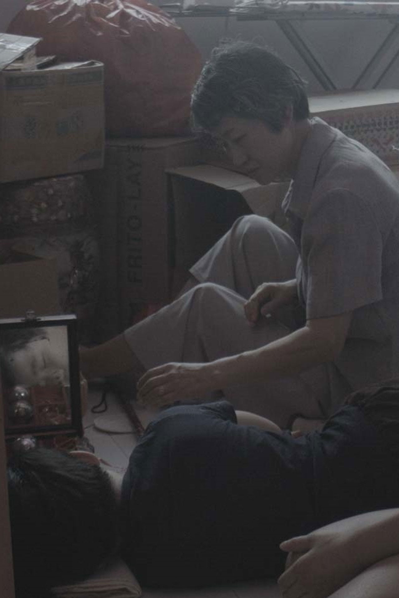 Flower Shadow Serenade Backdrop