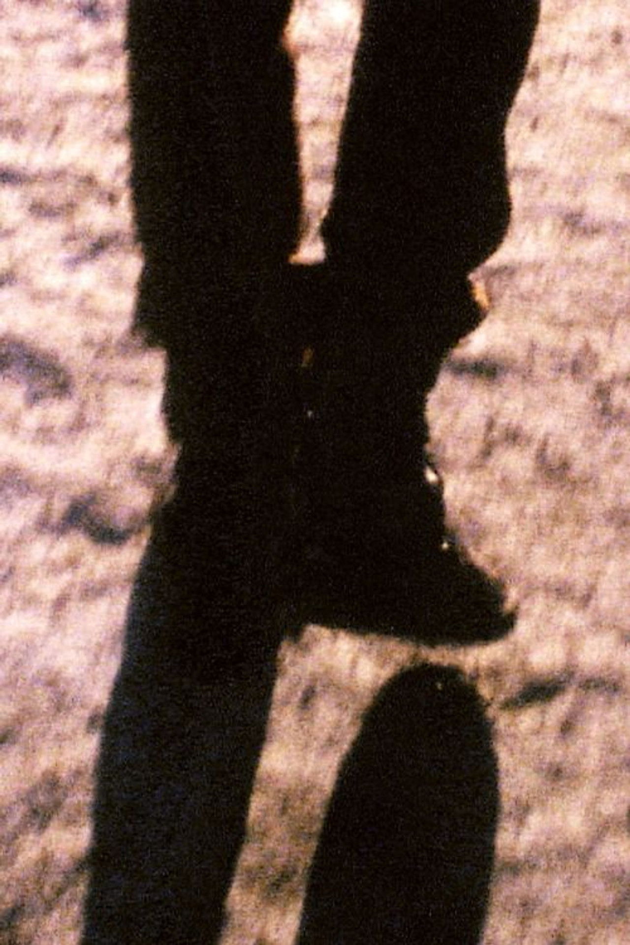 Burning Bright Backdrop