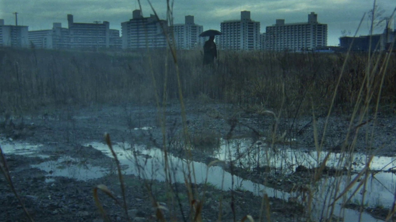 The Dropout backdrop