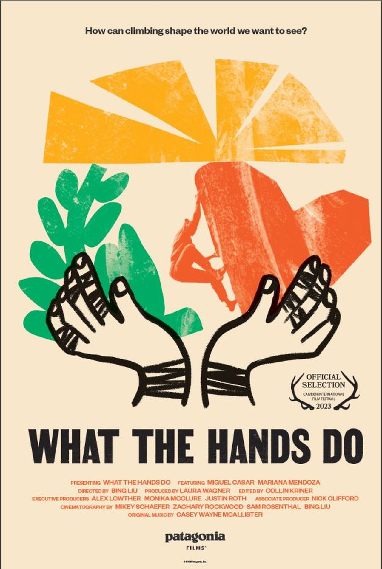 What the Hands Do What the Hands Do