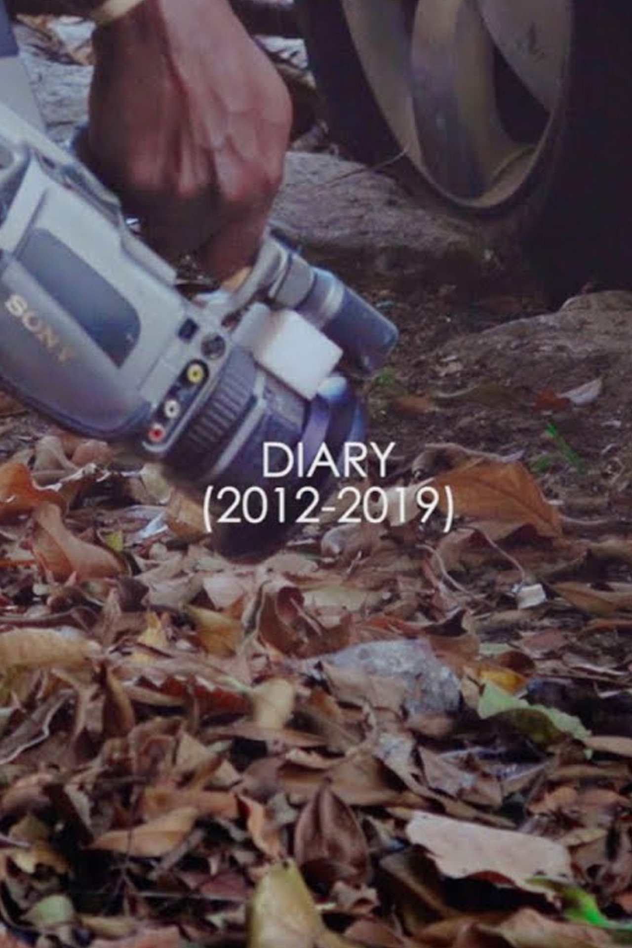 Diary (2012 - 2019) filmaffisch