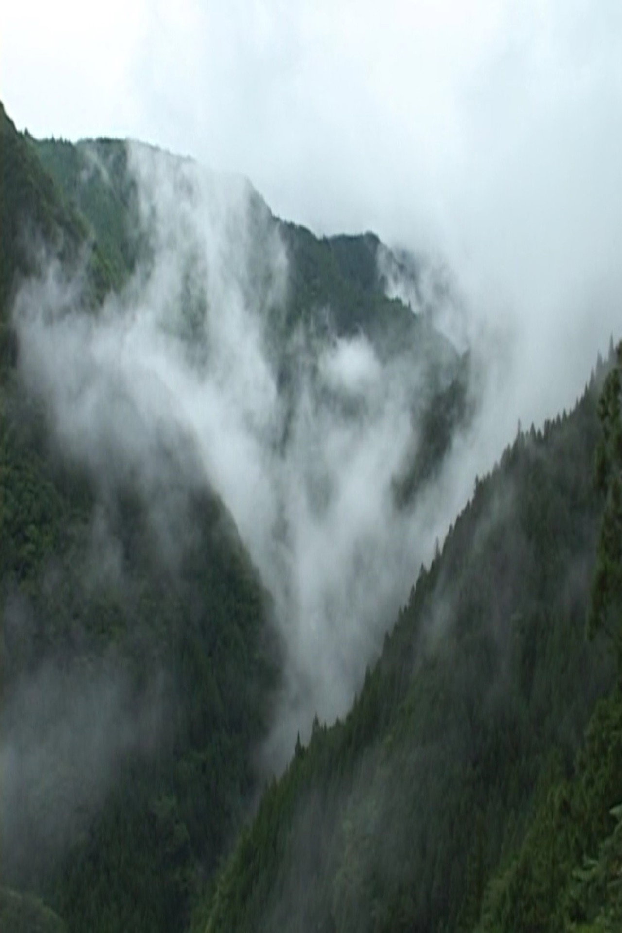 天竜区奥領家大沢 夏 filmaffisch