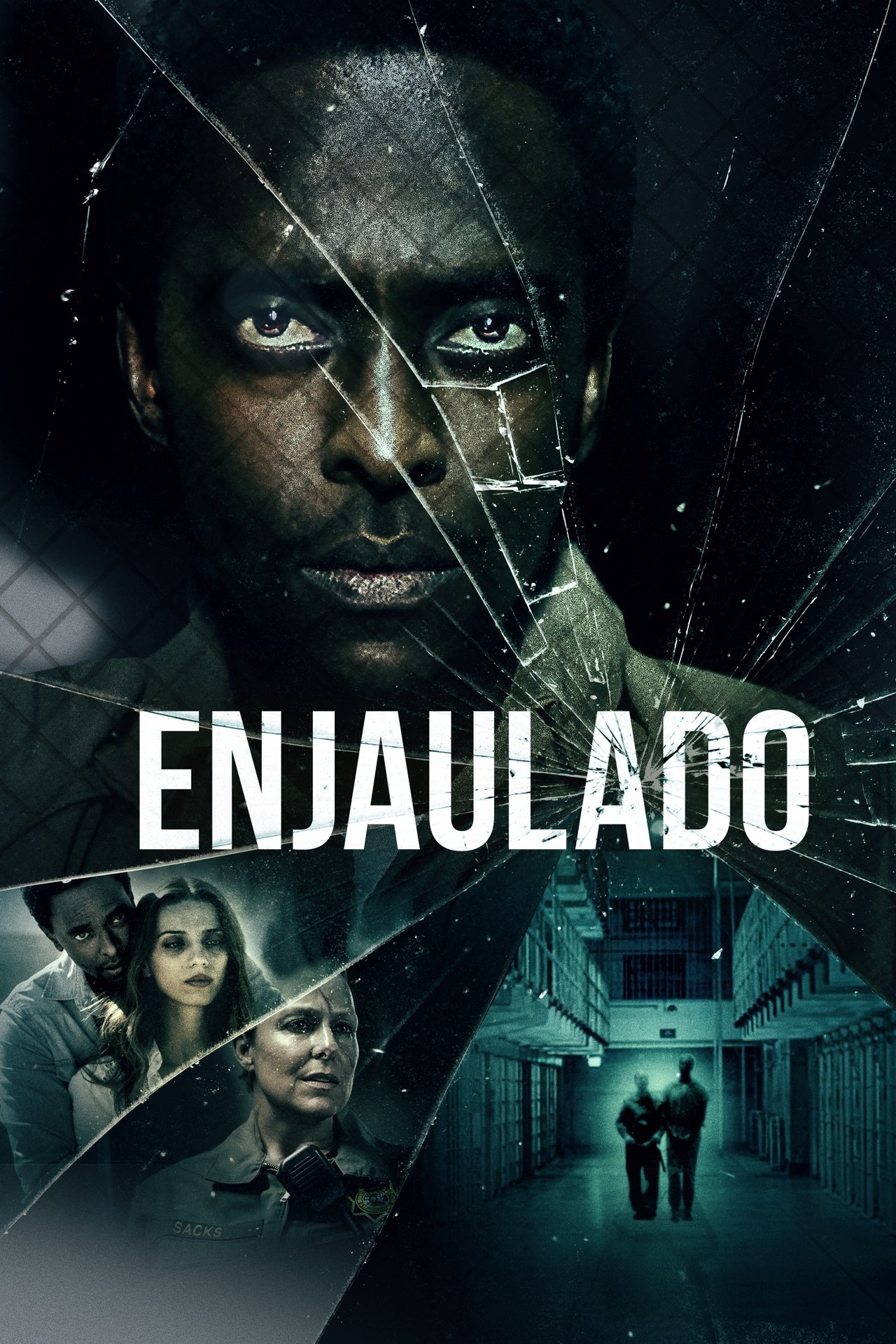 Enjaulado Dublado Online