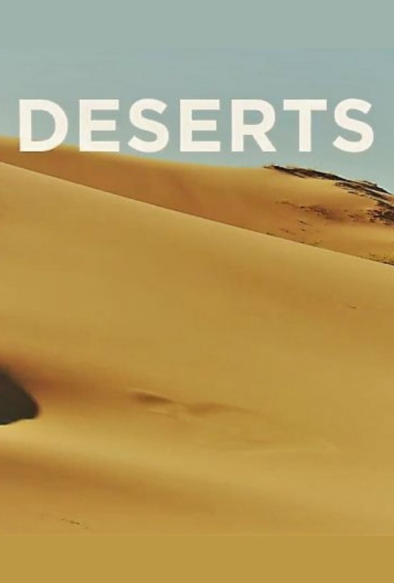 Deserts Backdrop