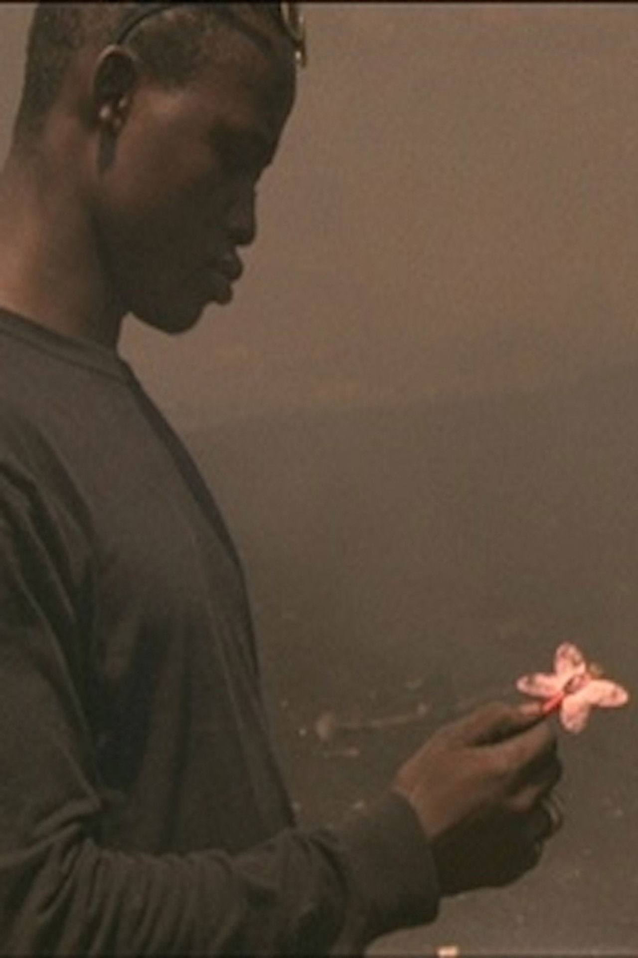 Waste no.6 How Great Backdrop