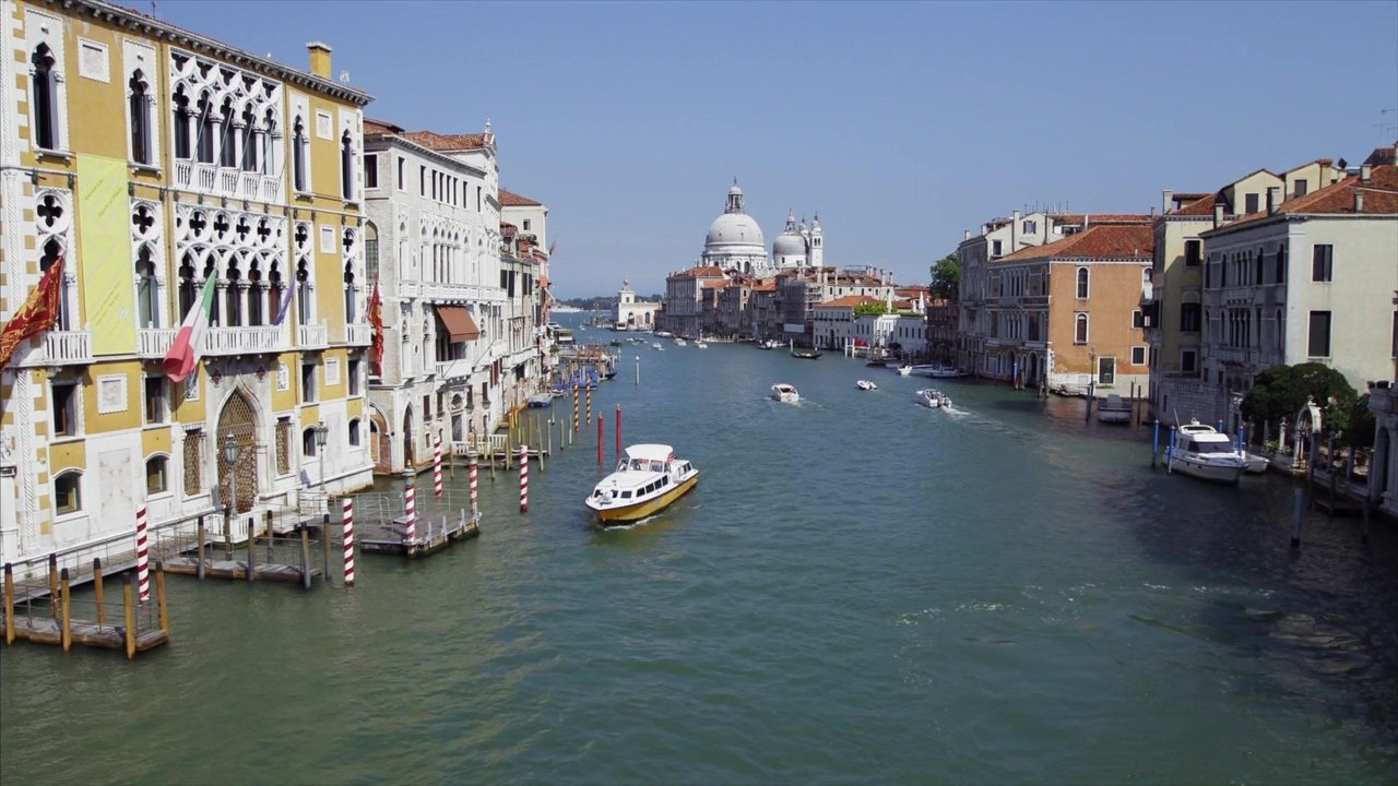 Wild Venice backdrop