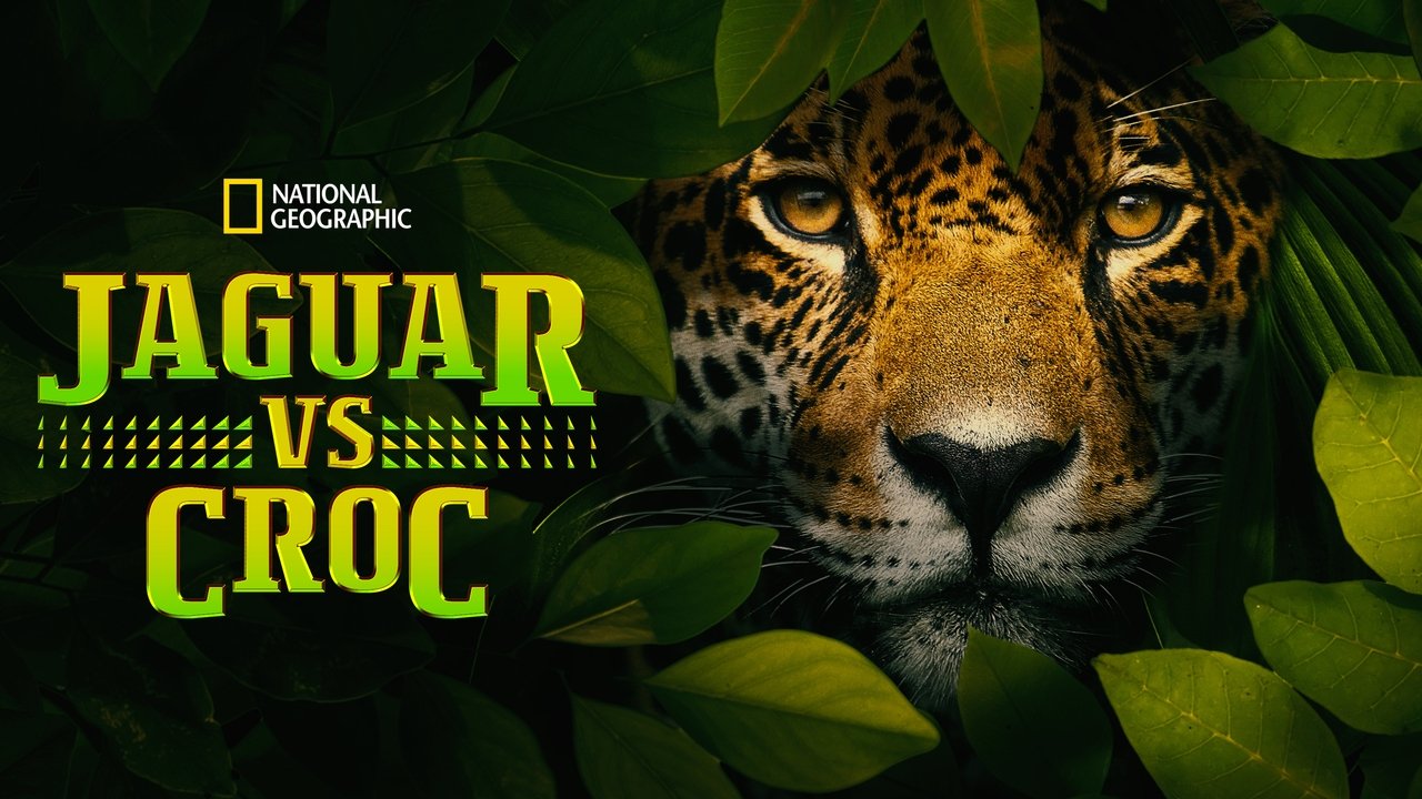 title image
