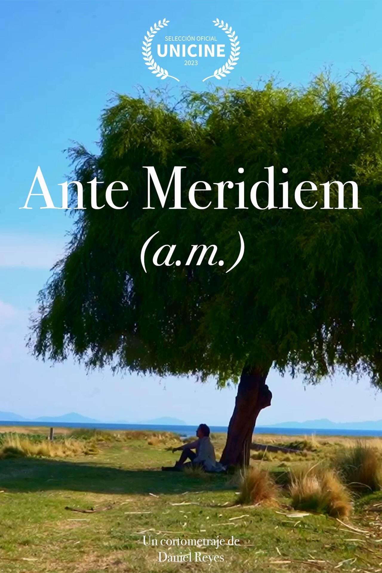 Ante Meridiem poster