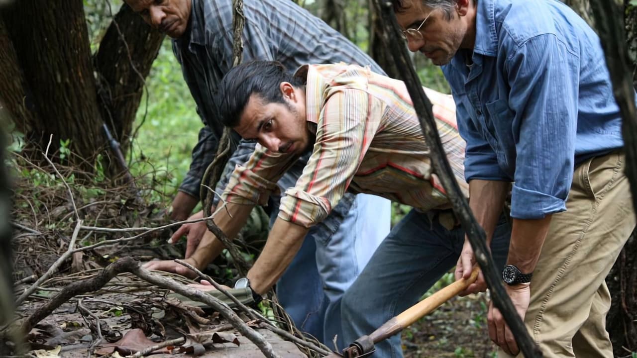 A Raíz do Mal (2010)