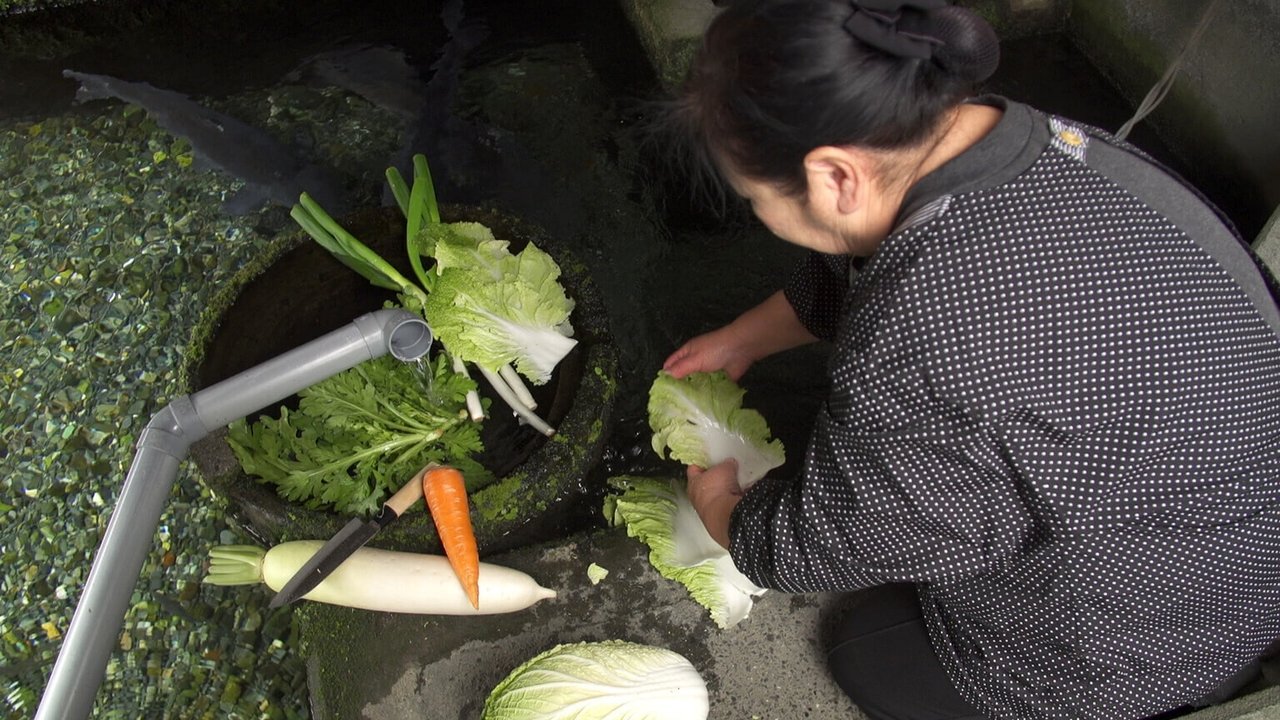 Harie, Shiga: A Town Living with Water