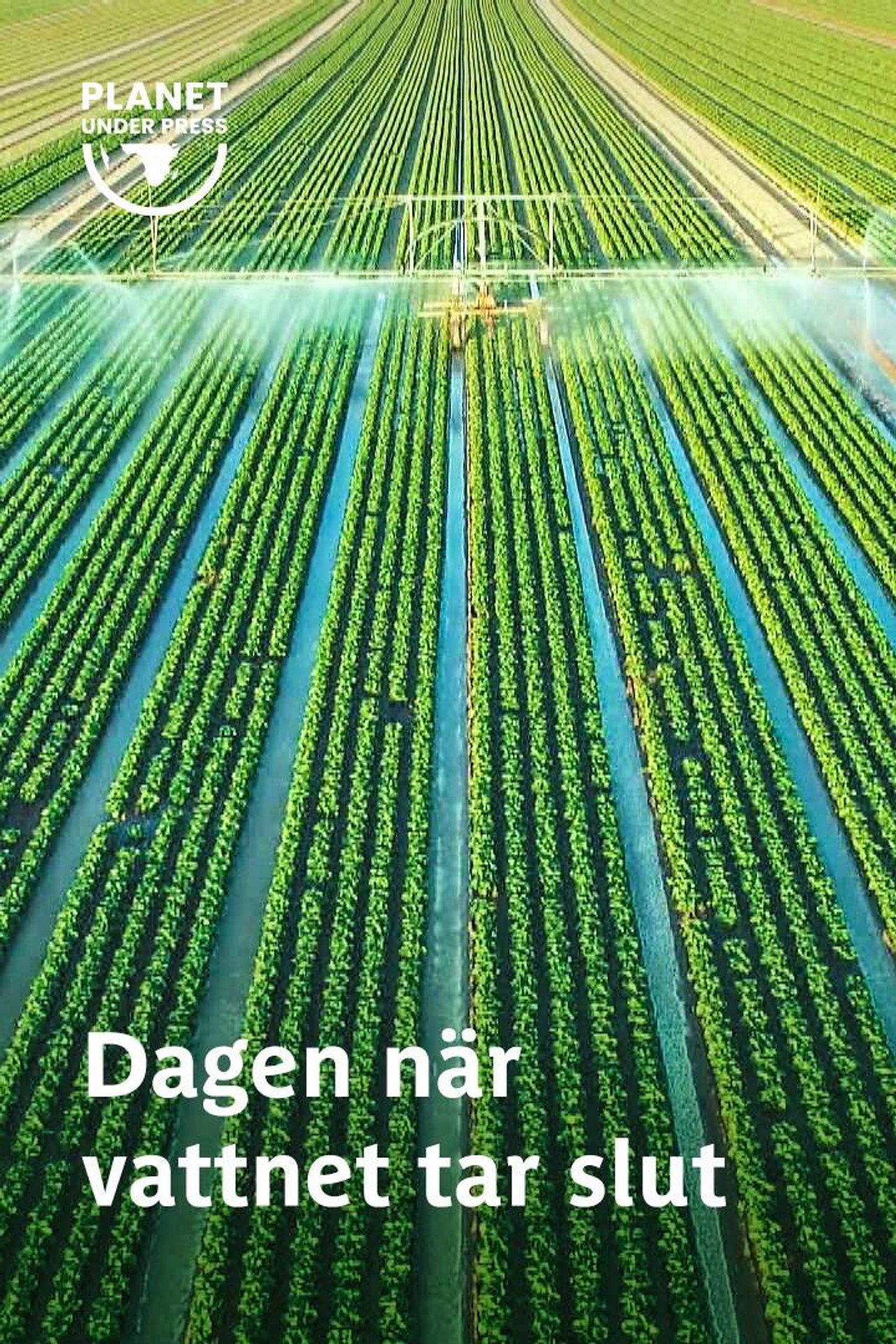 Dagen då vattnet tar slut filmaffisch