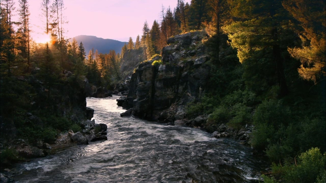 Nature - Season 30 Episode 11 : River of No Return