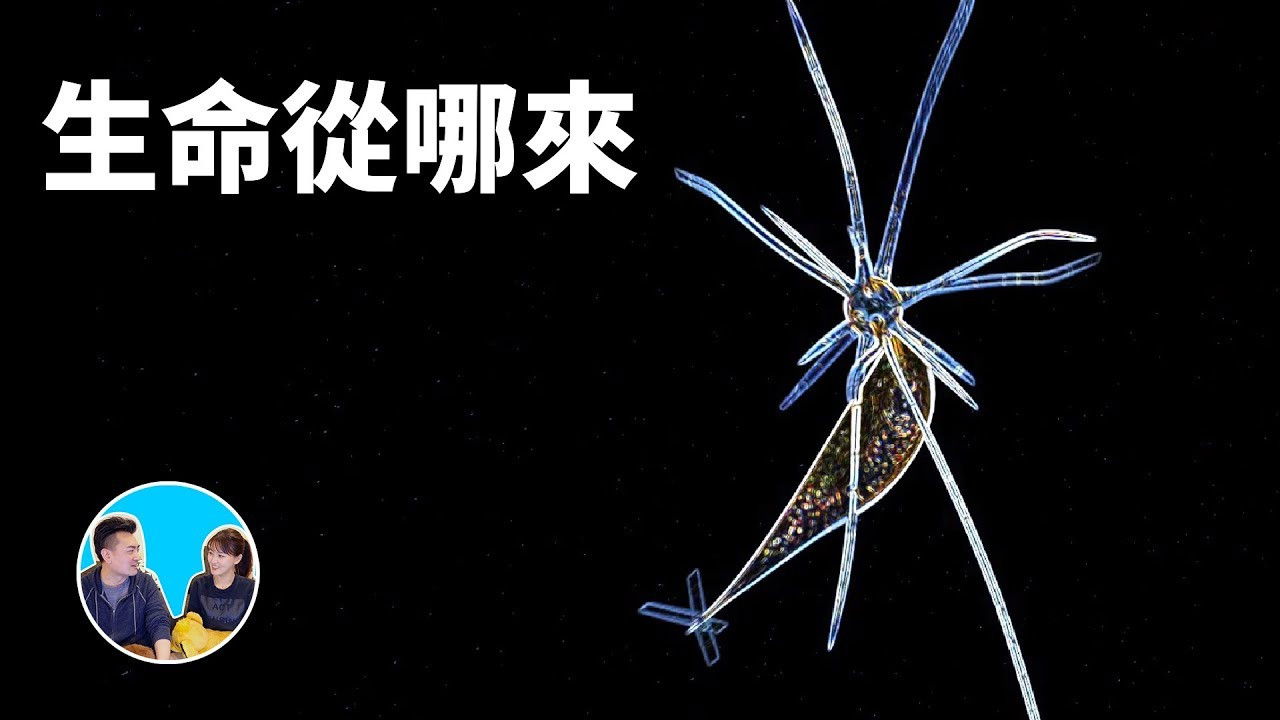 老高与小茉 — Épisode 60