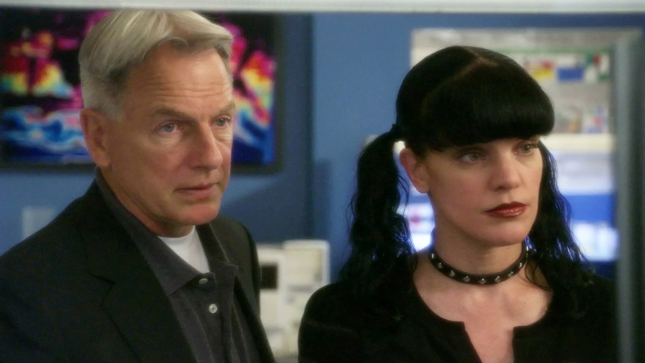 NCIS - Season 7 Episode 23 : Patriot Down