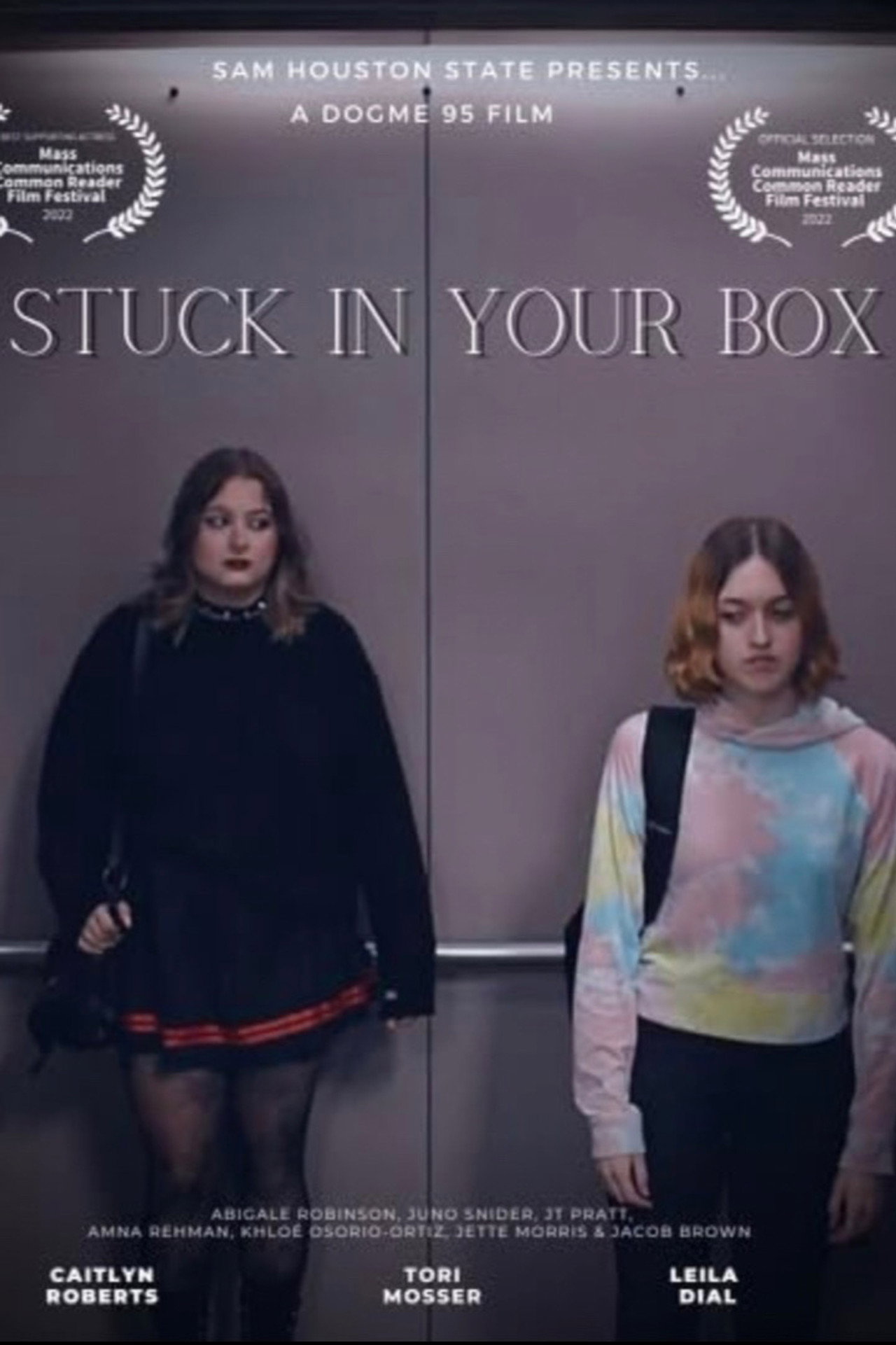 Stuck in Your Box filmaffisch