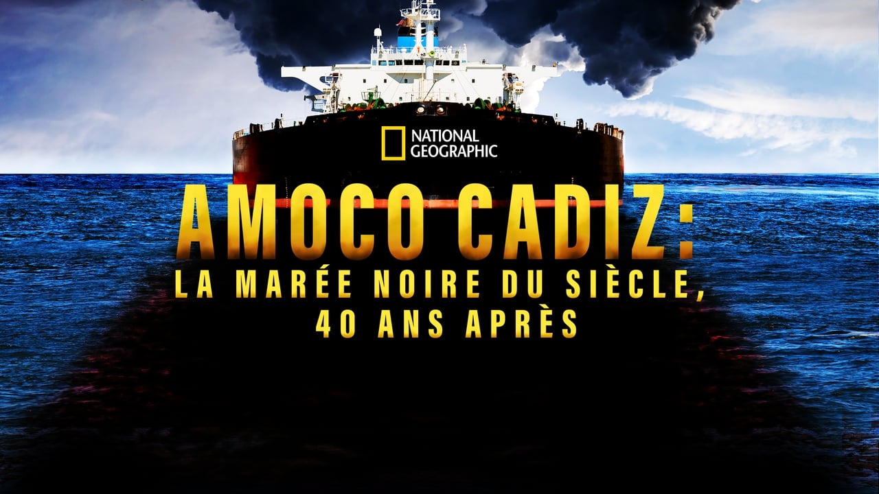Amoco Cadiz: la marée noire du siècle, 40 ans après background