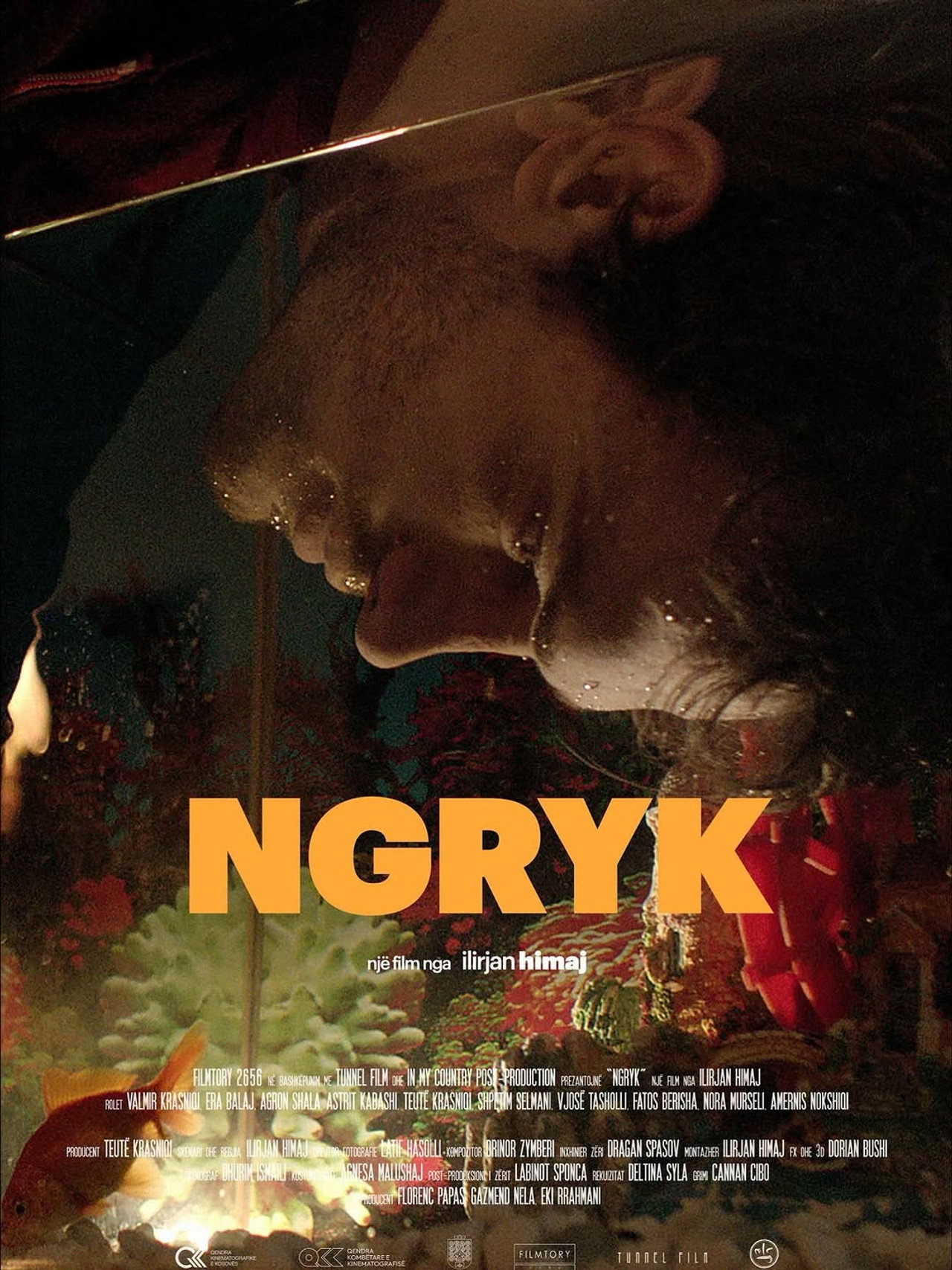 Ngryk filmaffisch