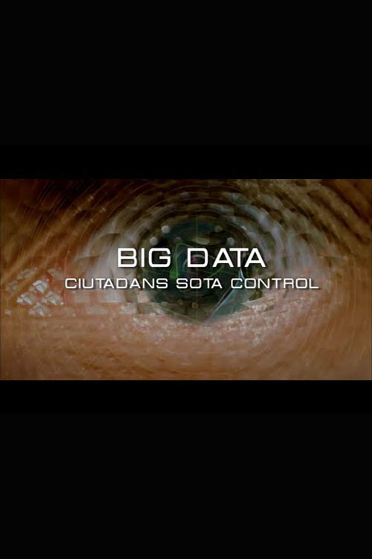 Big Data. Ciudadanos bajo control filmaffisch