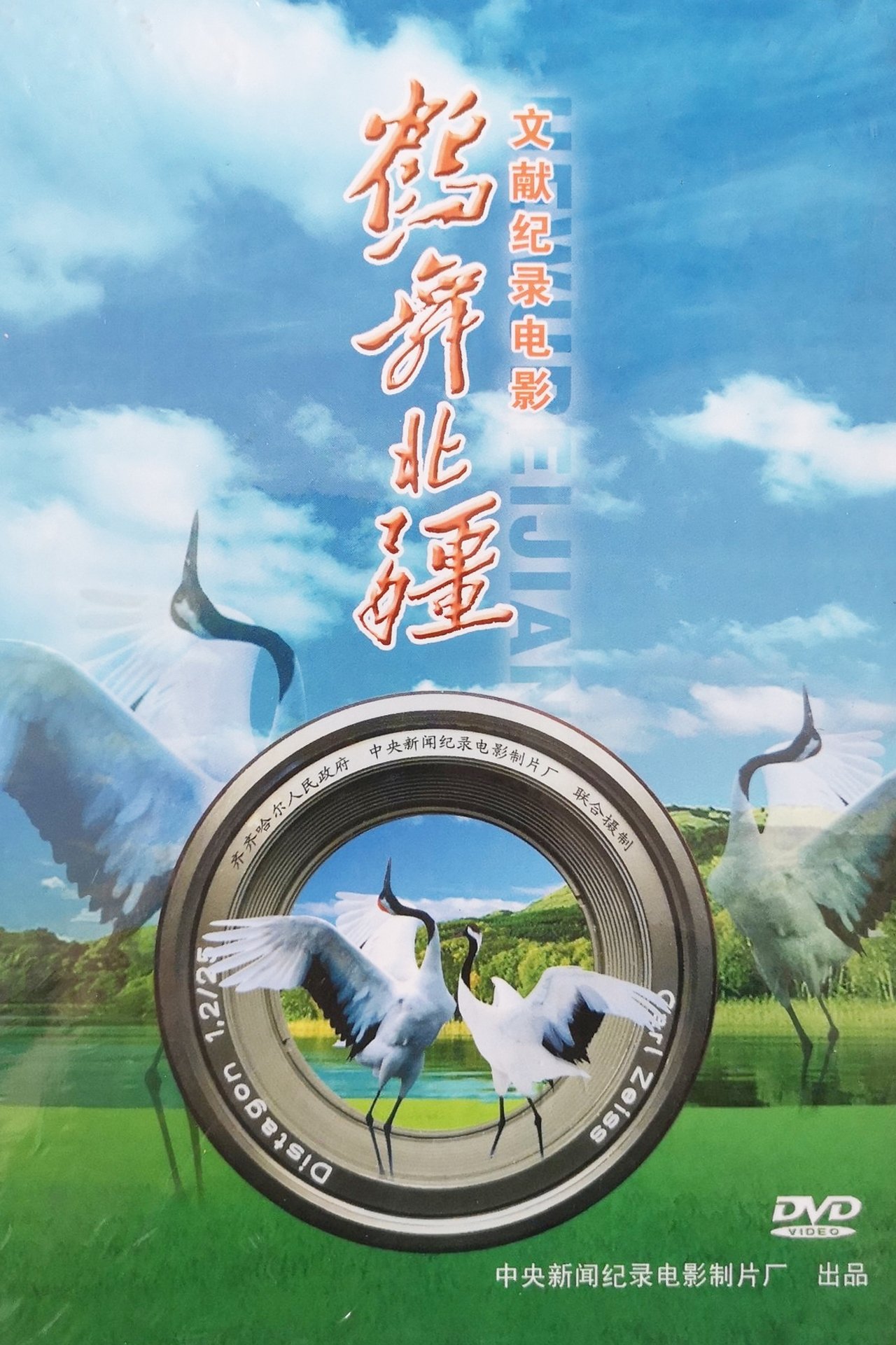 鹤舞北疆 鹤舞北疆