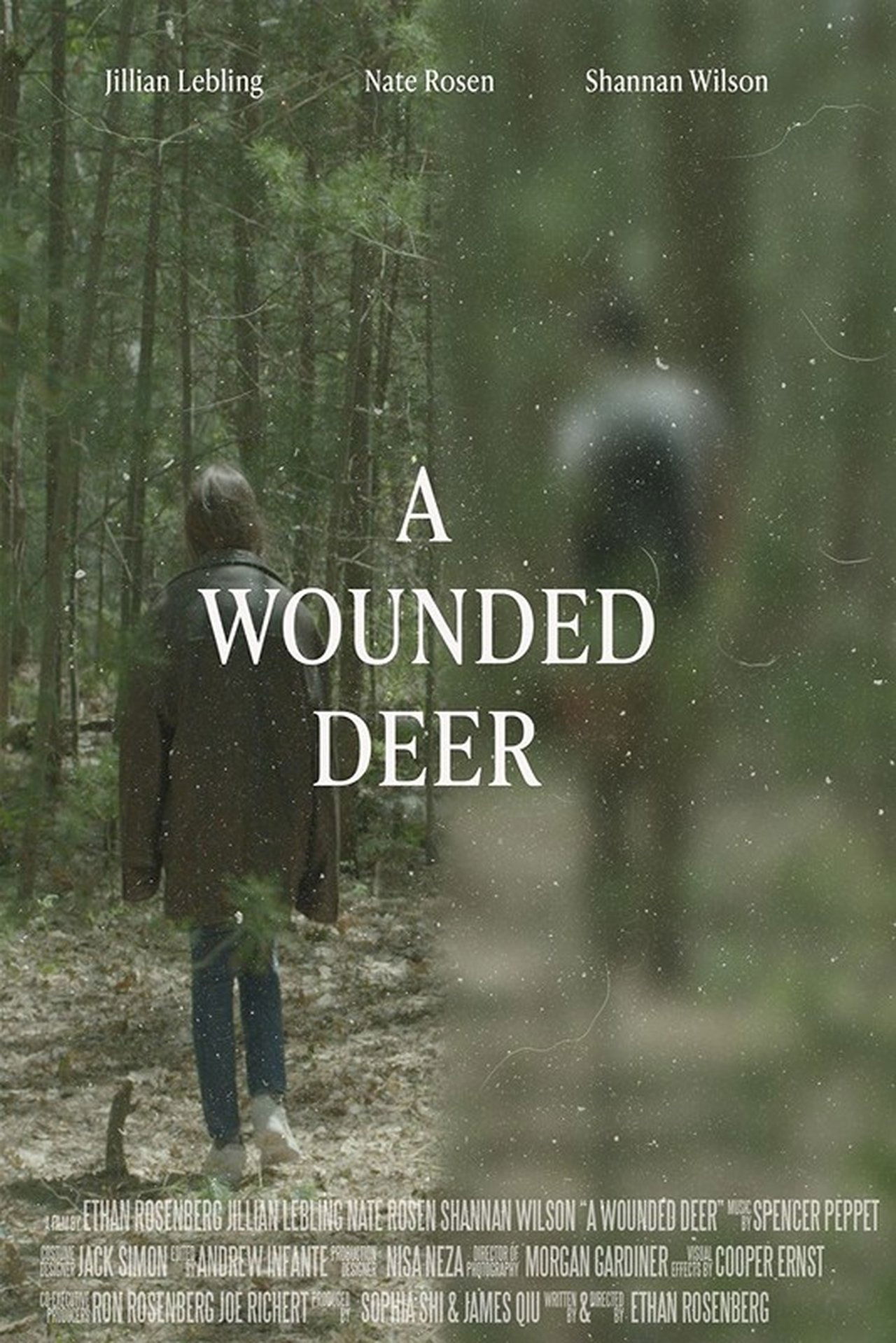 A Wounded Deer A Wounded Deer