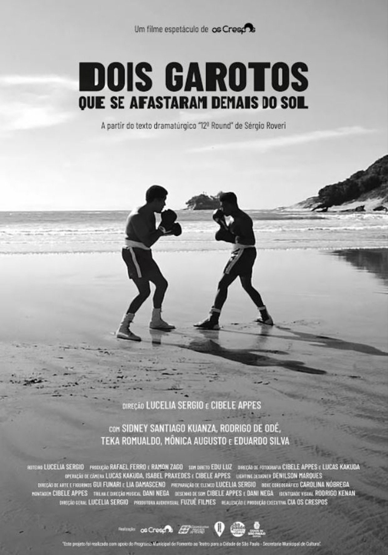 Dois Garotos Que Se Afastaram Demais do Sol filmaffisch