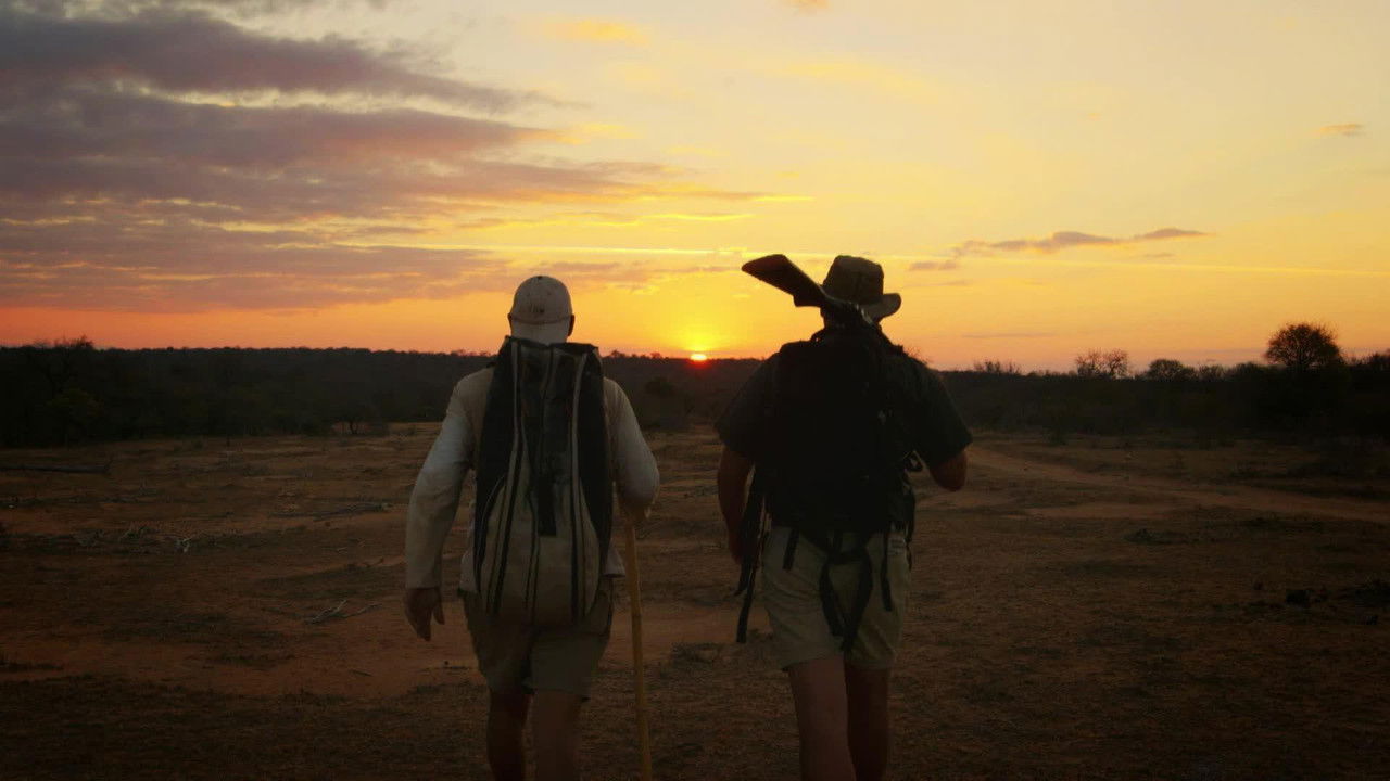 Wild Frank — Épisode 2