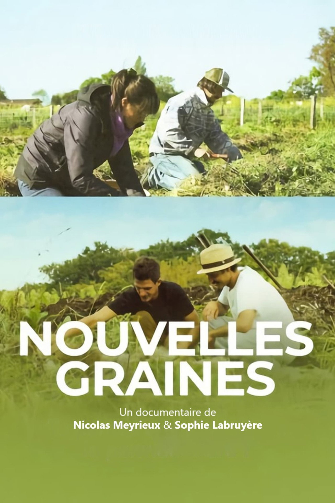 Nouvelles graines filmaffisch