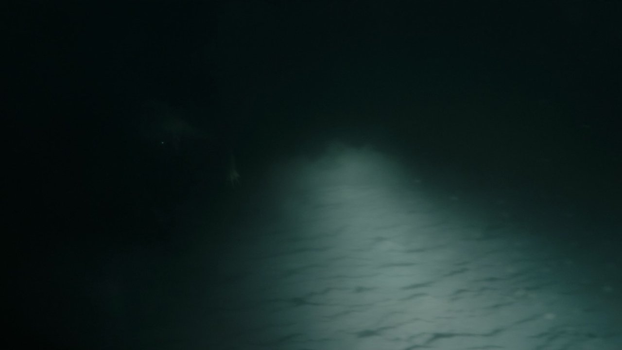 Underwater (2020)