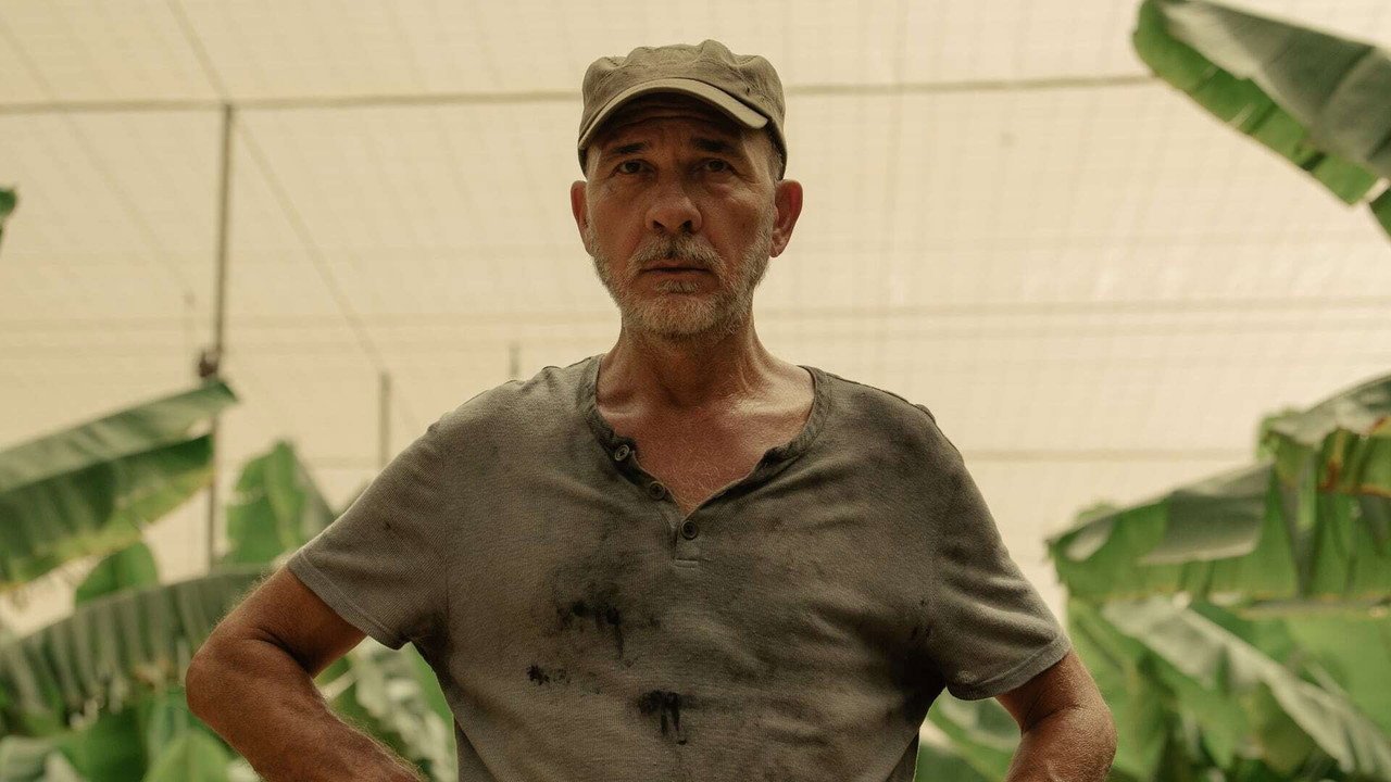 Serie Hierro Temporada 2 Ver Online