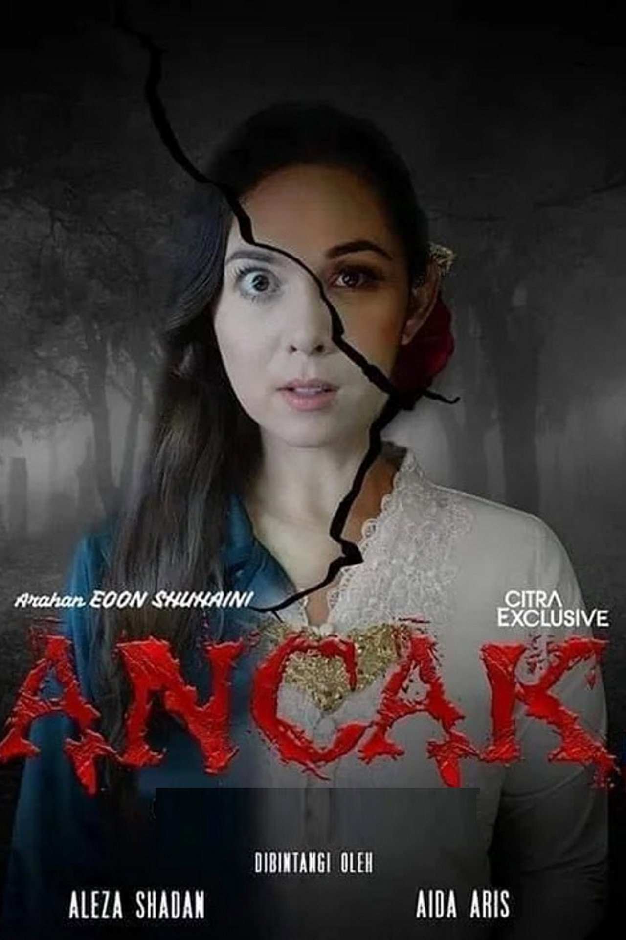 Ancak filmaffisch