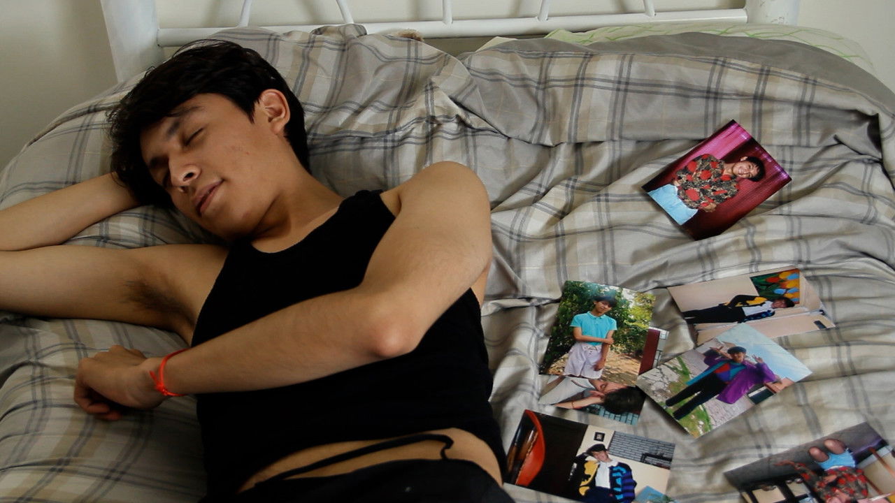 Photos & Memories backdrop