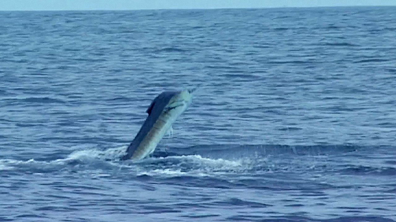 PARK'D — Épisode 2