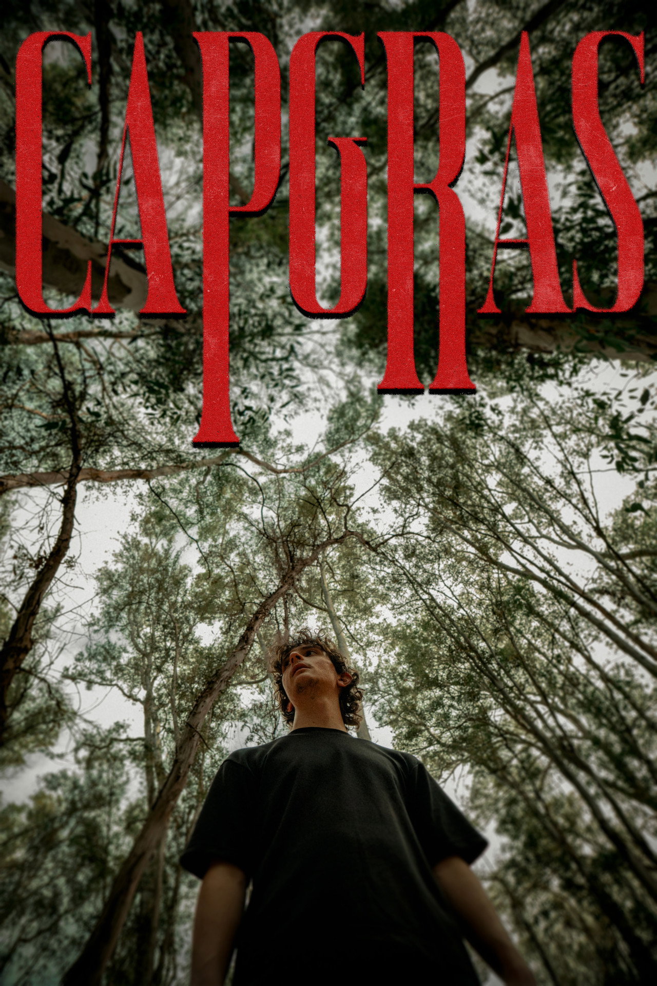 Capgras filmaffisch