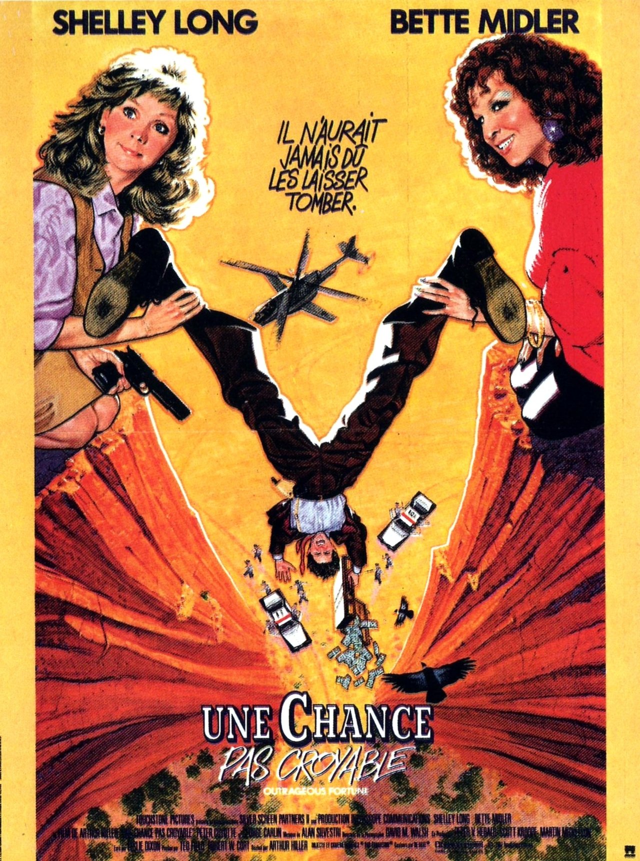 Une chance pas croyable poster