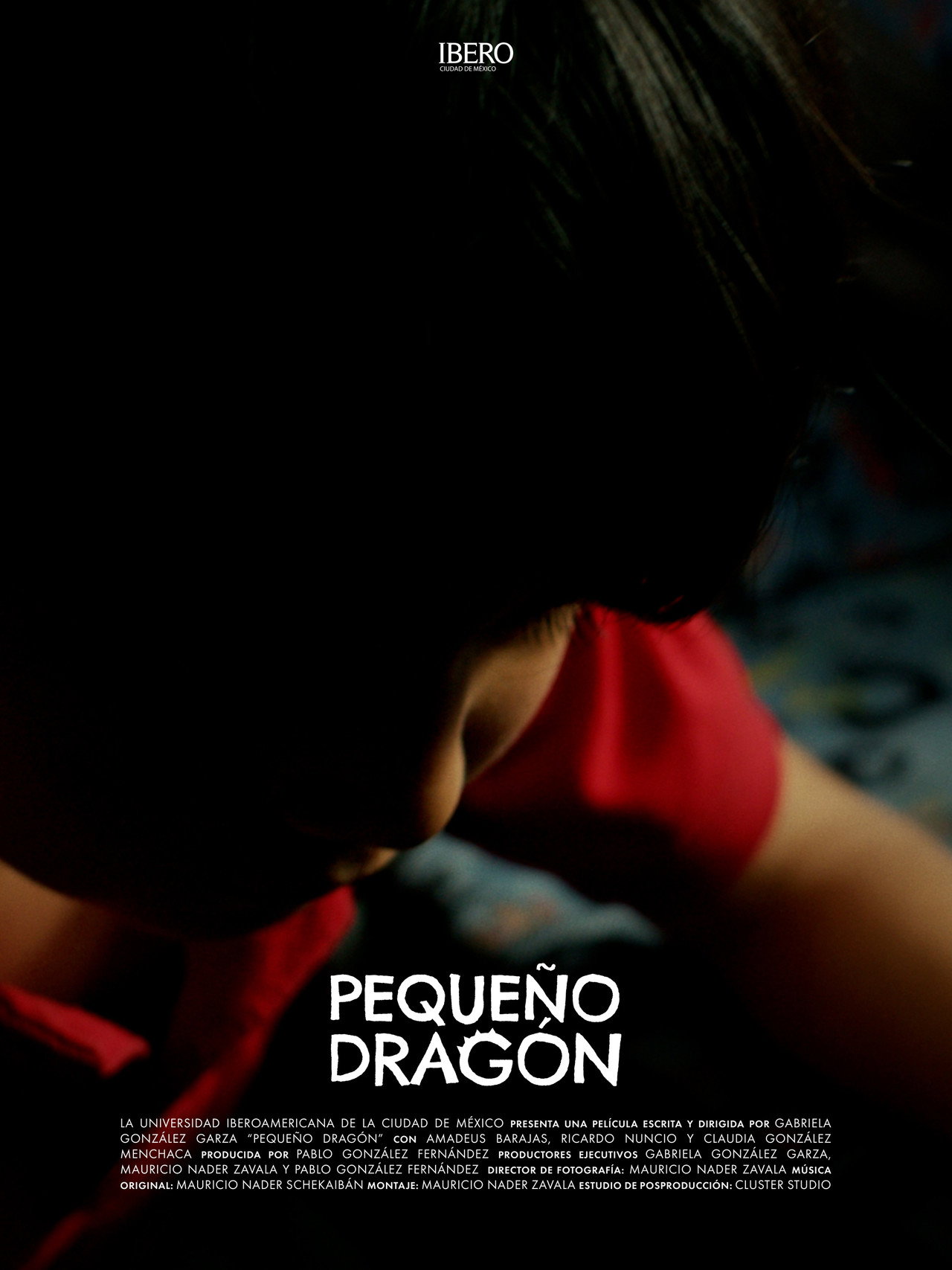 A Dragon's Flight Backdrop