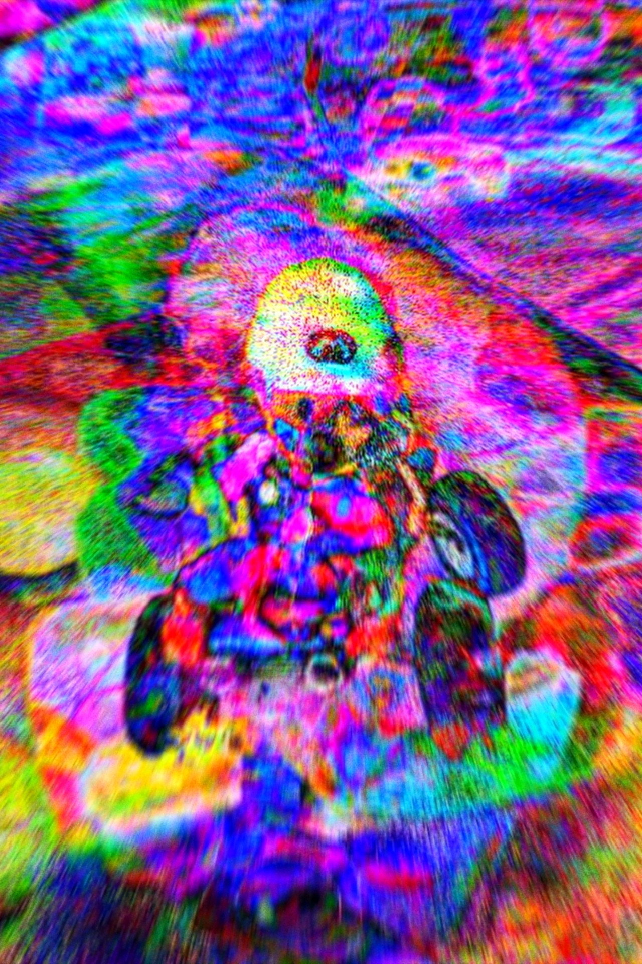 Rainbow Road filmaffisch