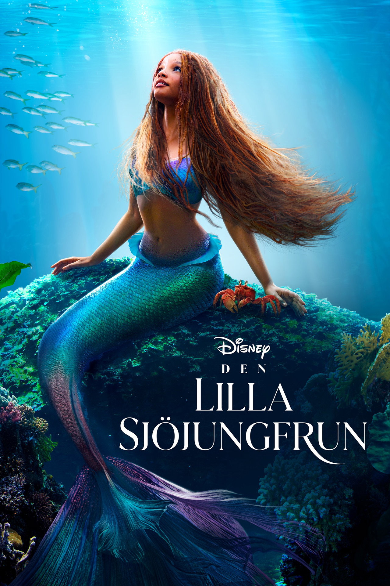 Den lilla sjöjungfrun filmaffisch