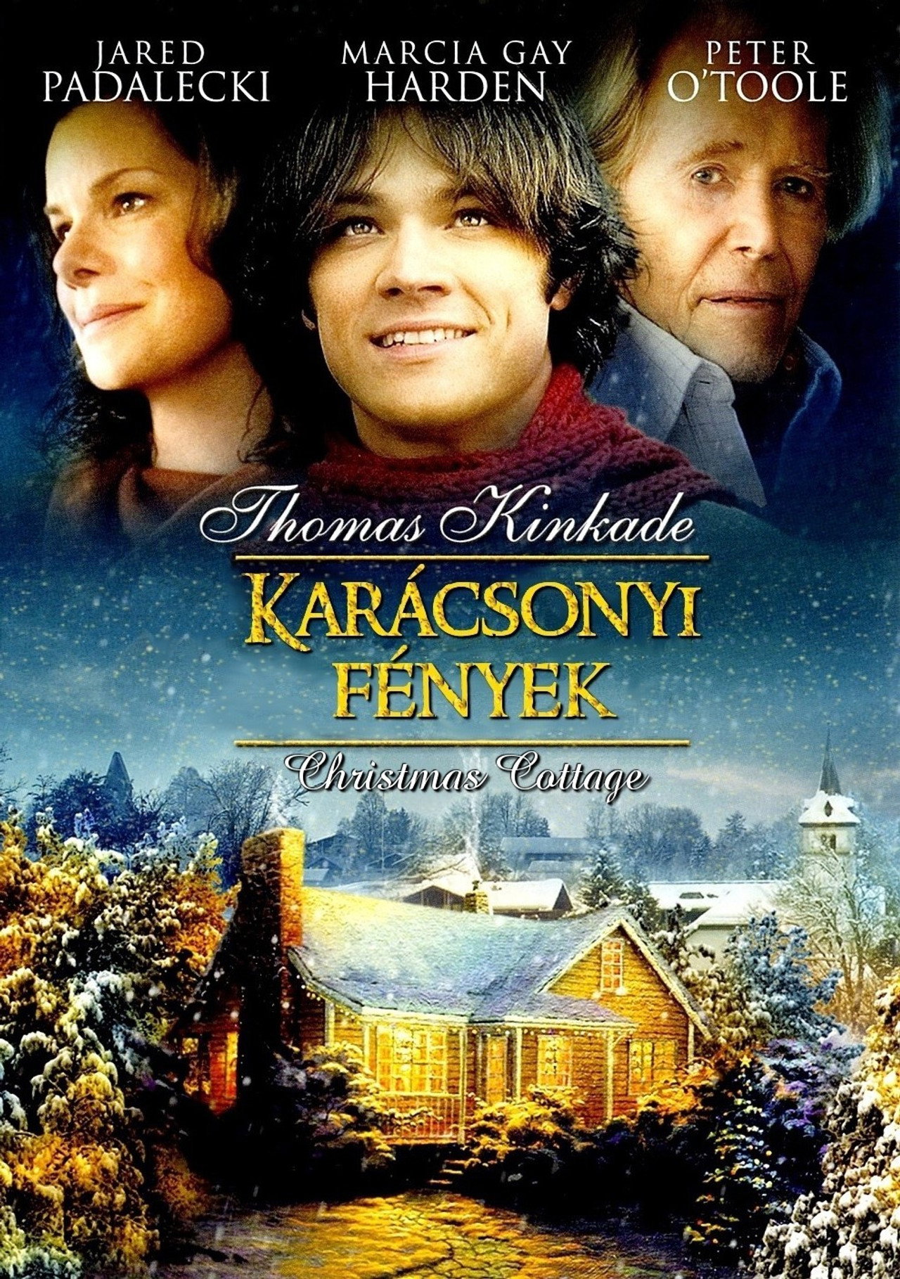 Karácsonyi fények – plakát 6